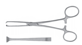 Затискач-щипці Елліса, для захоплення кишкової стінки, прямий, з кремальєрою, 225 мм, 5/6 зуба Bio Tules Impex BTS-18-102-15.2